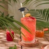 image:image12pcs Graduation Theme Bendable Drinking Straws Flexible Decorative Straws Graduation Party Supplies Disposable Celebrations