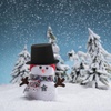image:imageBeaupretty 10Pcs Mini Black Plastic Top Hats Christmas Party Snowman Miniature Hats for Dollhouse Crafts Holiday Decorations