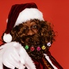 image:imageBeaupretty 24pcs Santa Claus Beard Clip Hair Baubles Decorations Santa Claus Beard Ornaments Christmas Decorated Beards Christmas Tree Ornaments Beard Bell Clip Utensils Tassel