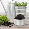image:imageBeaupretty 27Pcs Round Soil Sample Jars with Lids 196X354 Inch Mini Soil Storage Containers for Lab Weighing Observation and Scientific UseSilverx3pcs