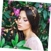 image:imageBeaupretty Butterfly Headband Butterfly Hollow Metal Headband Alloy Tiara Headpiece Vintage Bridal Wedding Crown for Women Girls Gold