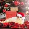 image:imageBeaupretty Christmas Pet Hat Mini Animal Hat Santa Hat Costume Party Supply for Cat Dog Red