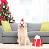 image:imageBeaupretty Christmas Pet Hat Mini Animal Hat Santa Hat Costume Party Supply for Cat Dog Red