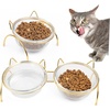 image:imageBeaupretty Elevated Glass Cat Food Bowl with Tilted Raised Stand Single Pet Bowl for Indoor Cats and Dogs Feeding