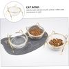 image:imageBeaupretty Elevated Glass Cat Food Bowl with Tilted Raised Stand Single Pet Bowl for Indoor Cats and Dogs Feeding
