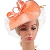 image:imageBeaupretty Fascinators Hat Headband  Fascinators Headpiece Fascinators Hat for Women Girls Veil Mesh Headband Tea Party HatPink