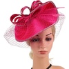 image:imageBeaupretty Fascinators Hat Headband  Fascinators Headpiece Fascinators Hat for Women Girls Veil Mesh Headband Tea Party HatRosy