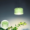 image:imageBeaupretty Glass Pendant Light Shade 590X590X354 Inch Hanging Lamp Shade Replacement with Stripe Pattern for Dining Room Bar Cafe Lighting DecorArmy Green