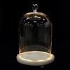 image:imageBeaupretty Glowing Couple Hand Model Adornment with Glass Dome Cover Romantic Ornament for Valentine Wedding Anniversary Home Decor 984X669X688In