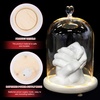 image:imageBeaupretty Glowing Couple Hand Model Adornment with Glass Dome Cover Romantic Ornament for Valentine Wedding Anniversary Home Decor 984X669X688In