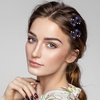 image:imageBeaupretty Hair Clip 6 Pieces Flower Hair Claw Clips Mini Rhinestone Plum Blossom Hair Clips for Women and GirlsBlue