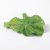 image:imageBeaupretty Lettuce Hair Clip for Women and Girls Cute Green Leaf Snap Hairpin Lightweight Hair Accessory for Everyday Wear and Cosplay