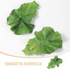 image:imageBeaupretty Lettuce Hair Clip for Women and Girls Cute Green Leaf Snap Hairpin Lightweight Hair Accessory for Everyday Wear and Cosplay