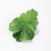 image:imageBeaupretty Lettuce Hair Clip for Women and Girls Cute Green Leaf Snap Hairpin Lightweight Hair Accessory for Everyday Wear and Cosplay