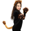 image:imageBeaupretty Lion Cosplay Costume Set Lion Plush RolePlaying Accessories Gloves Ears Headband Tail Kit for Women Men Adults Brown