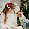 image:imageBeaupretty Red Hair Bow 2PCS Christmas Hair Bow Xmas Bow Hair Clip Christmas Barrettes Holiday Hairpins Hair Accessories