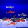 image:imageBeaupretty Small Fish Statue 5 Pcs Aquarium Decor Fake Koi Fish Ornaments Realistic Tank Decorations for Home and Office Terrariums