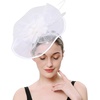 image:imageBeaupretty Women Girls Fascinators Hair Clip Veil Fascinator Hat with Hair Clip Headband Tea Party Headwear 1920 FascinatorsWhite