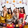 image:imageCat Cosplay Costume Set Plush Furry Cat Fox Faux Fur Ears Headband with Choker Necklace Tail and Paws Gloves for Halloween Black