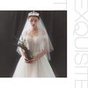 image:imageFRCOLOR Royal Wedding Crown Veil with Comb Crystal Crown Princess Tiara Headpiece Bridal Wedding Veil Heardress