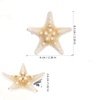 image:imageHair Clip 2Pcs Nautical Hair Accessories for Women and Girls Coastal Mermaid Clips 24X24X1 Inch Handmade Natural Star Barrettes