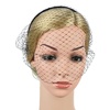 image:imageLurrose Veil Fascinator Hat for Women Headband with Black Veil Hair Hoop Headband Simple Elegant Mesh Headdress Halloween for Women