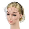 image:imageLurrose Veil Fascinator Hat for Women Headband with Black Veil Hair Hoop Headband Simple Elegant Mesh Headdress Halloween for Women
