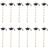 image:image12pcs Graduation Theme Bendable Drinking Straws Flexible Decorative Straws Graduation Party Supplies Disposable Celebrations